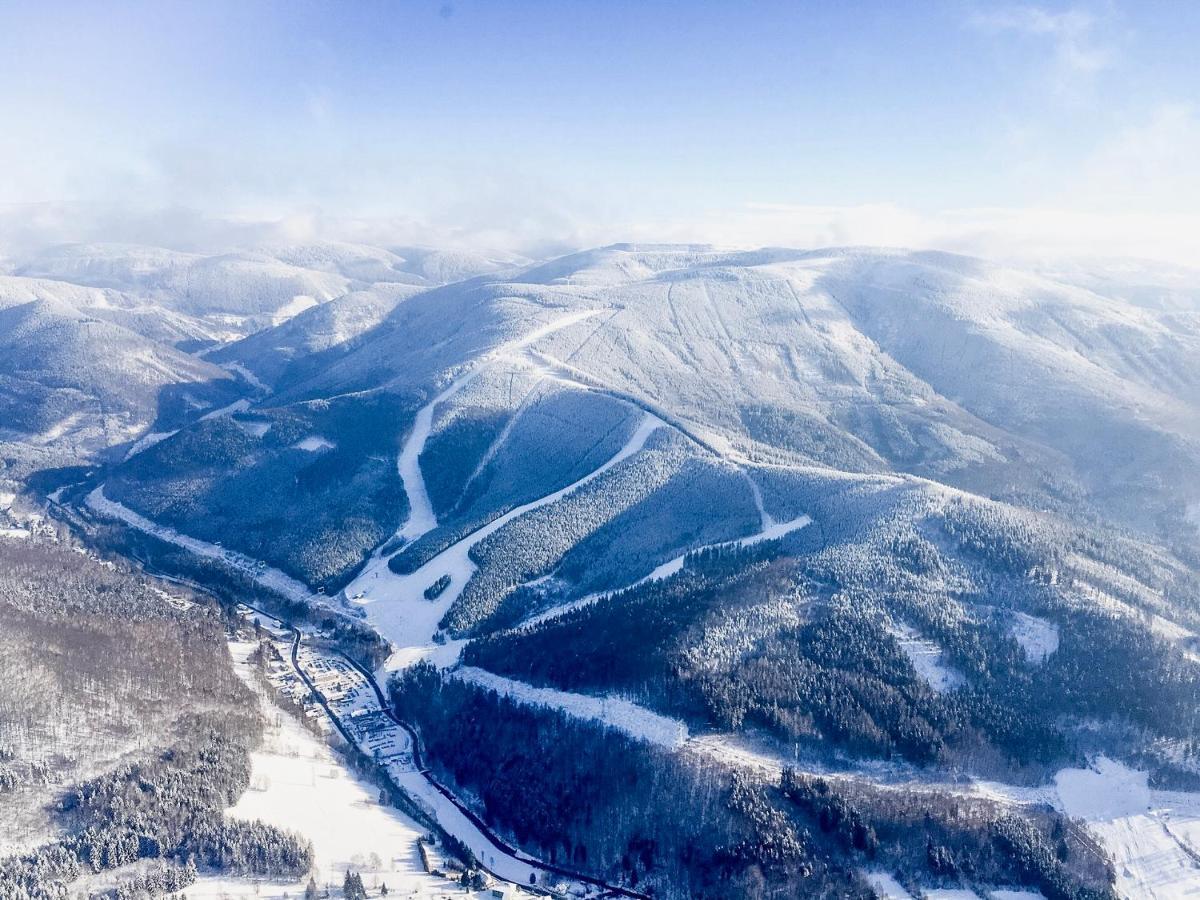 Luxusni Horsky Apartman Primo U Sjezdovky Kouty Loučná nad Desnou Buitenkant foto